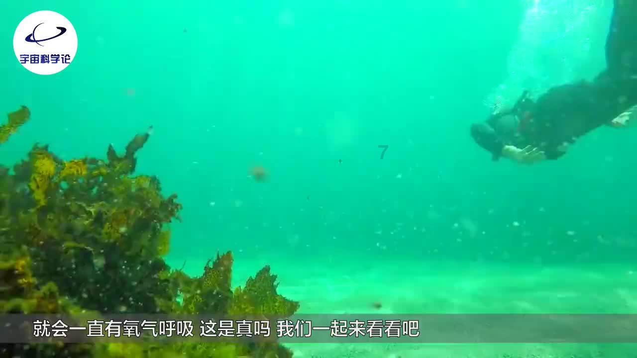 逃离地下古寺庙