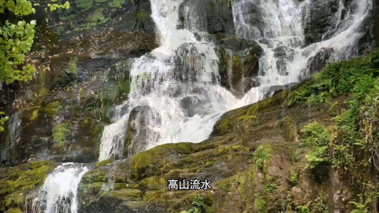 移动的靶心5
